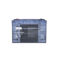 Аккумулятор MNB LFP-12.8-100 PRO (12.8В, 100 Ач, LiFePO4) прозрачный корпус